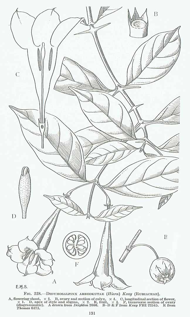 no HD illustration available (3)