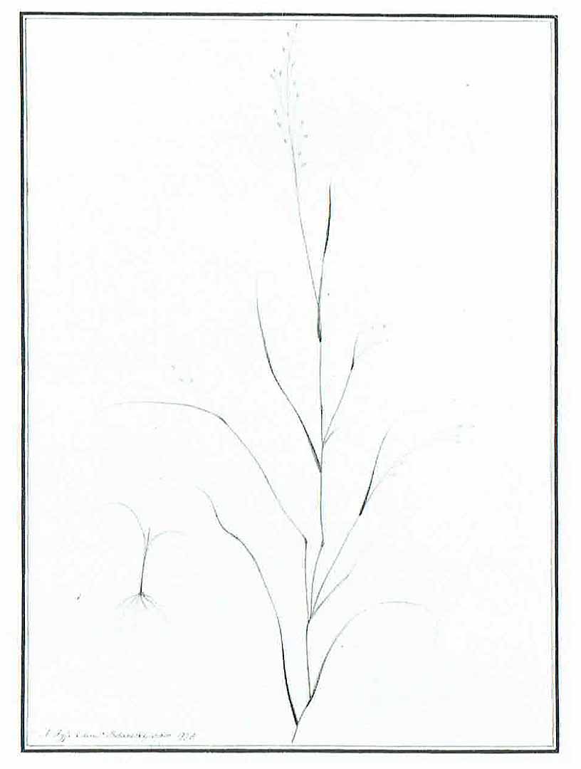 no HD illustration available (3)