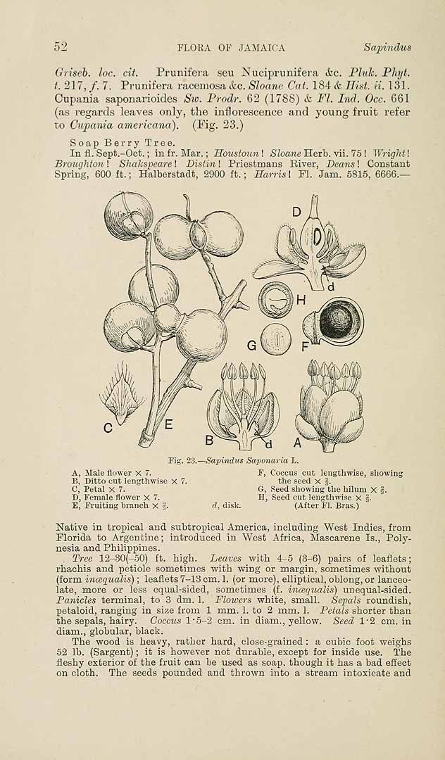 no HD illustration available (3)