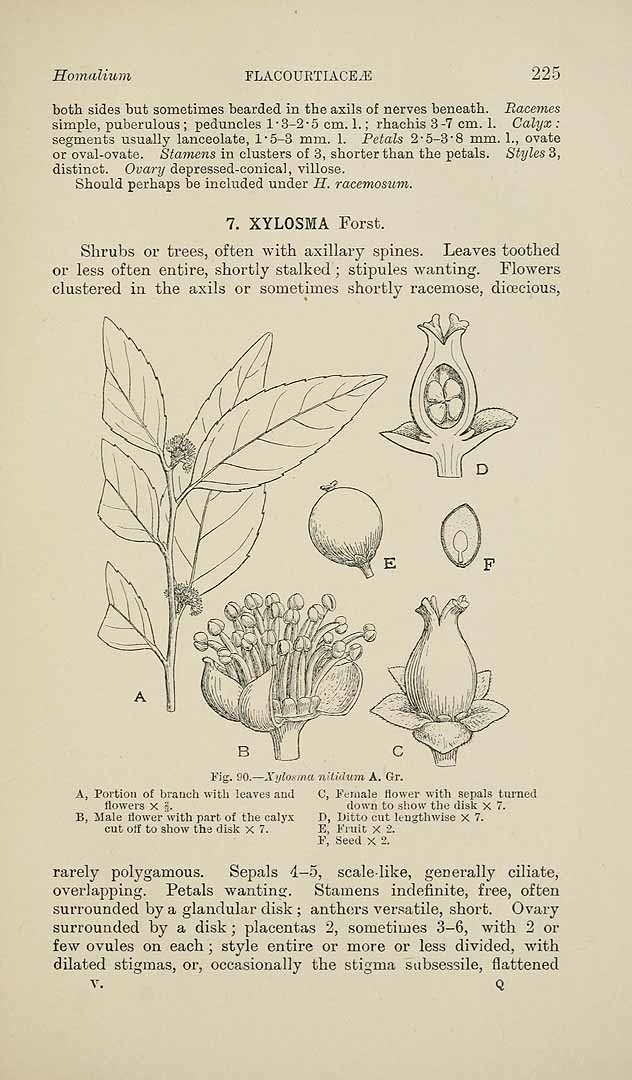 no HD illustration available (3)