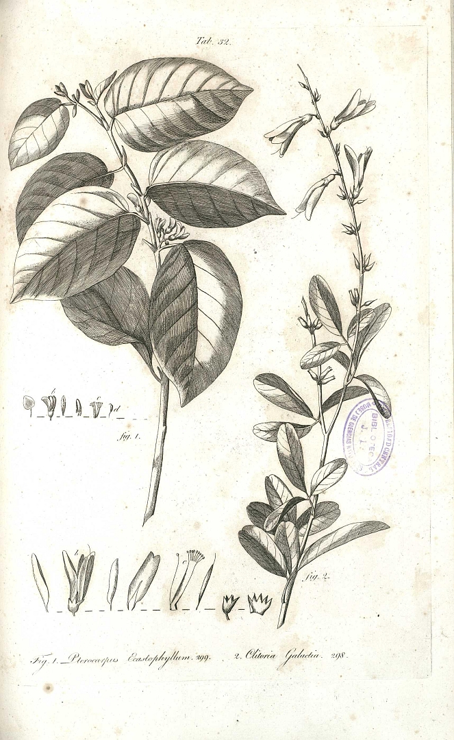 no HD illustration available (3)