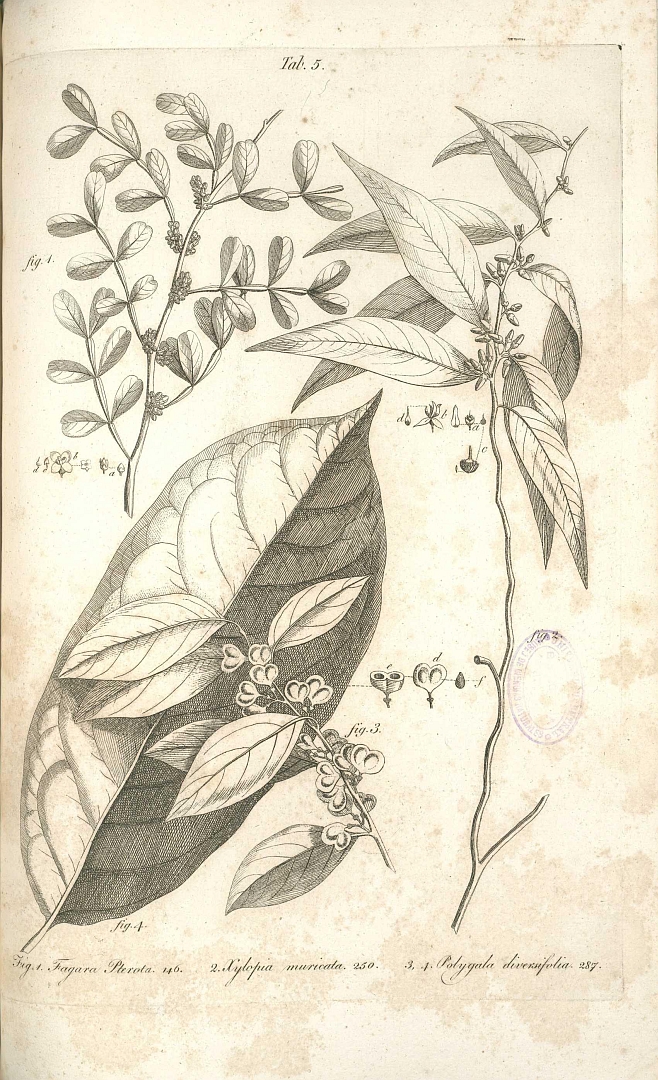 no HD illustration available (3)