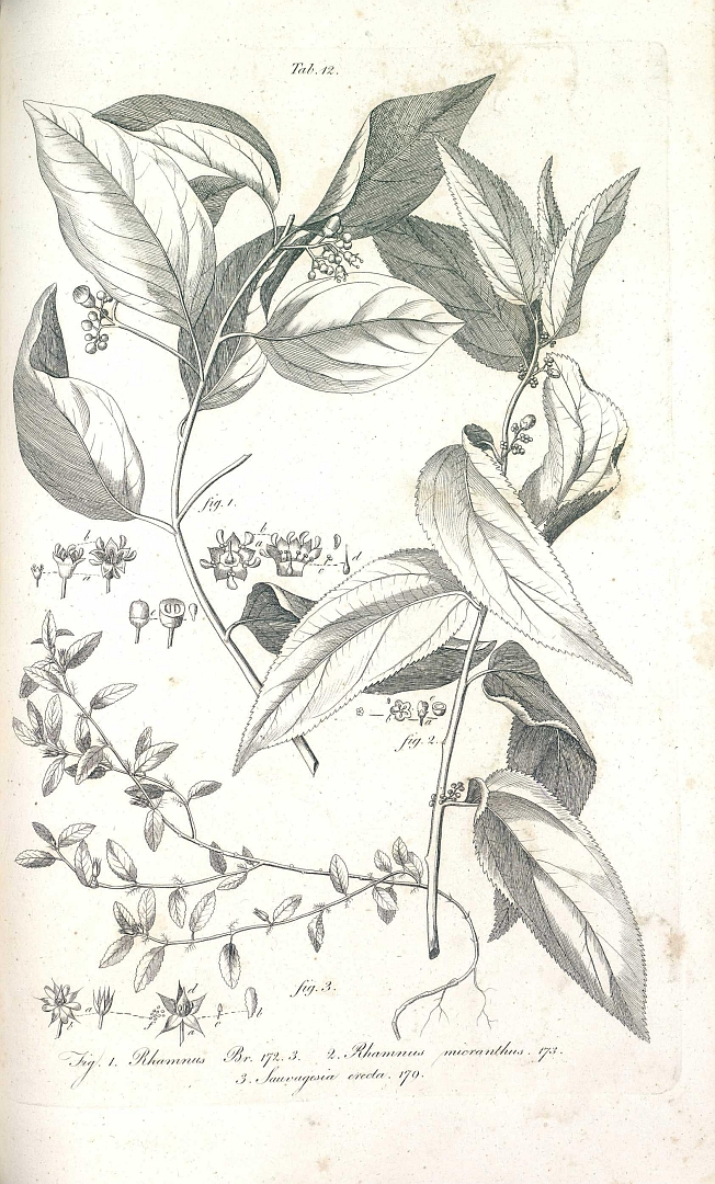 no HD illustration available (3)