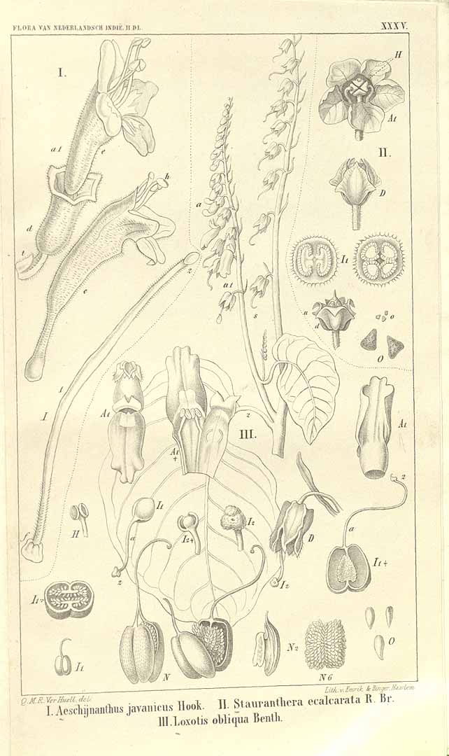 no HD illustration available (3)