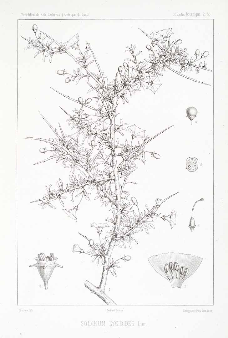 no HD illustration available (3)