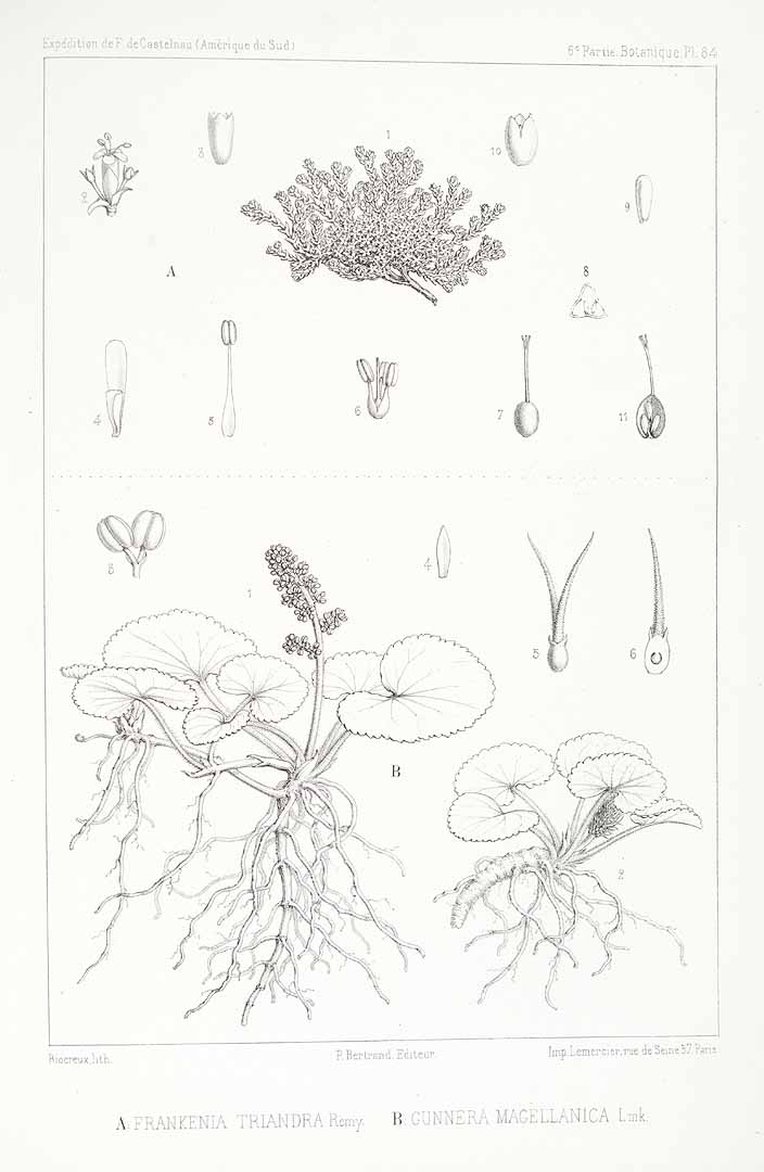 no HD illustration available (3)