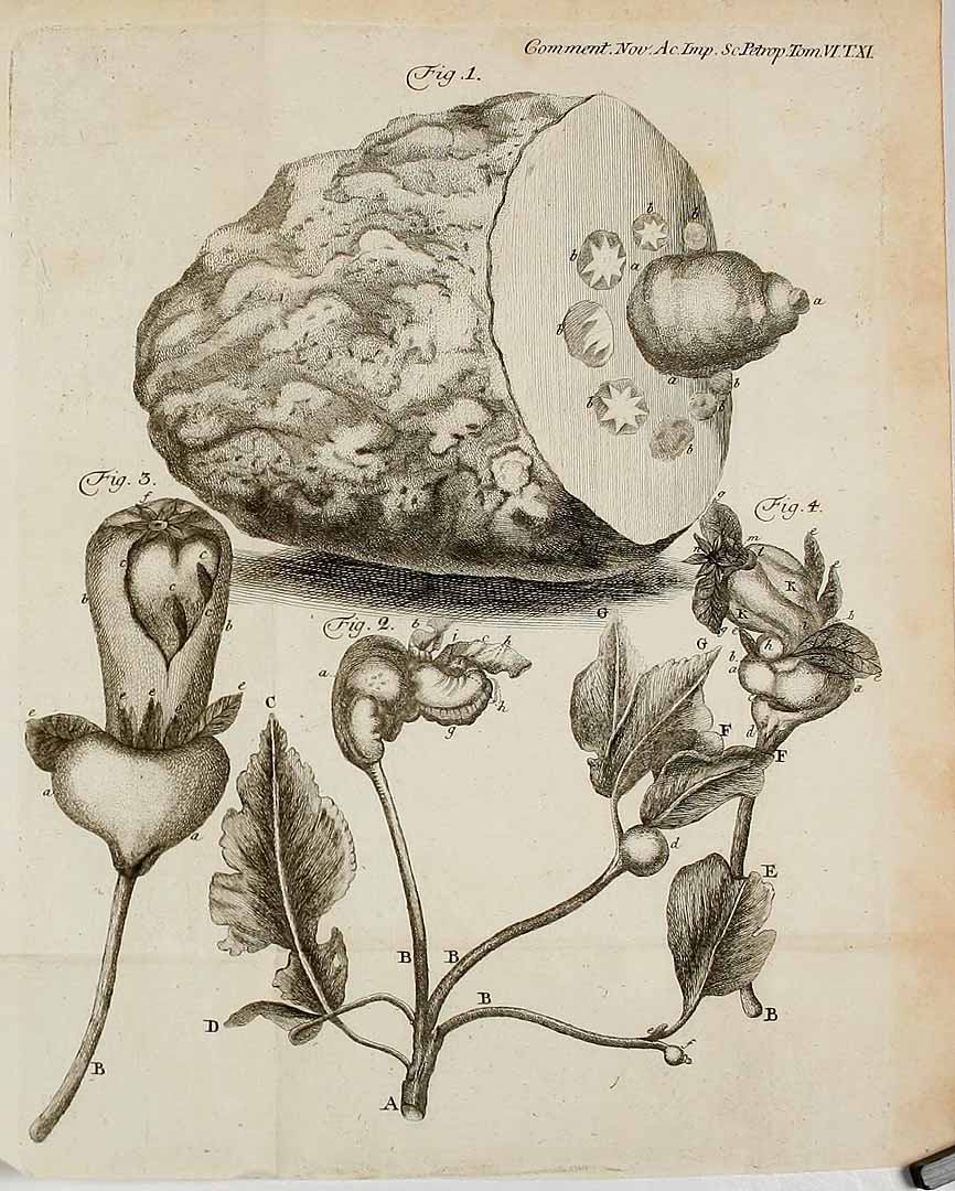 no HD illustration available (3)