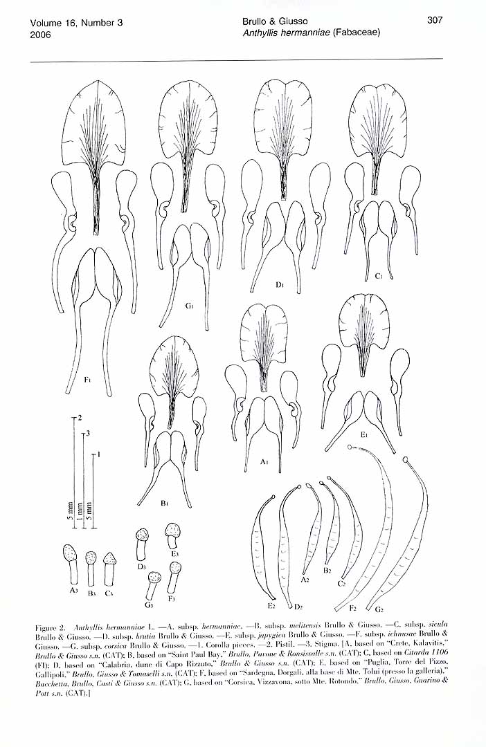 no HD illustration available (3)