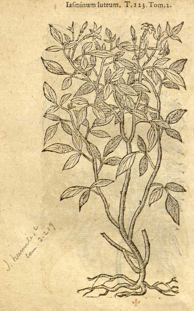 no HD illustration available (3)
