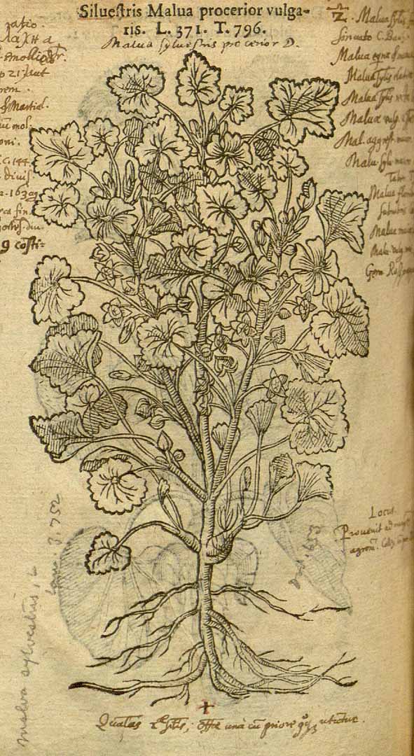 no HD illustration available (3)
