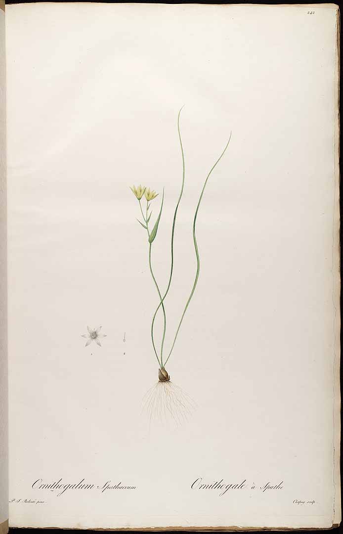 no HD illustration available (3)