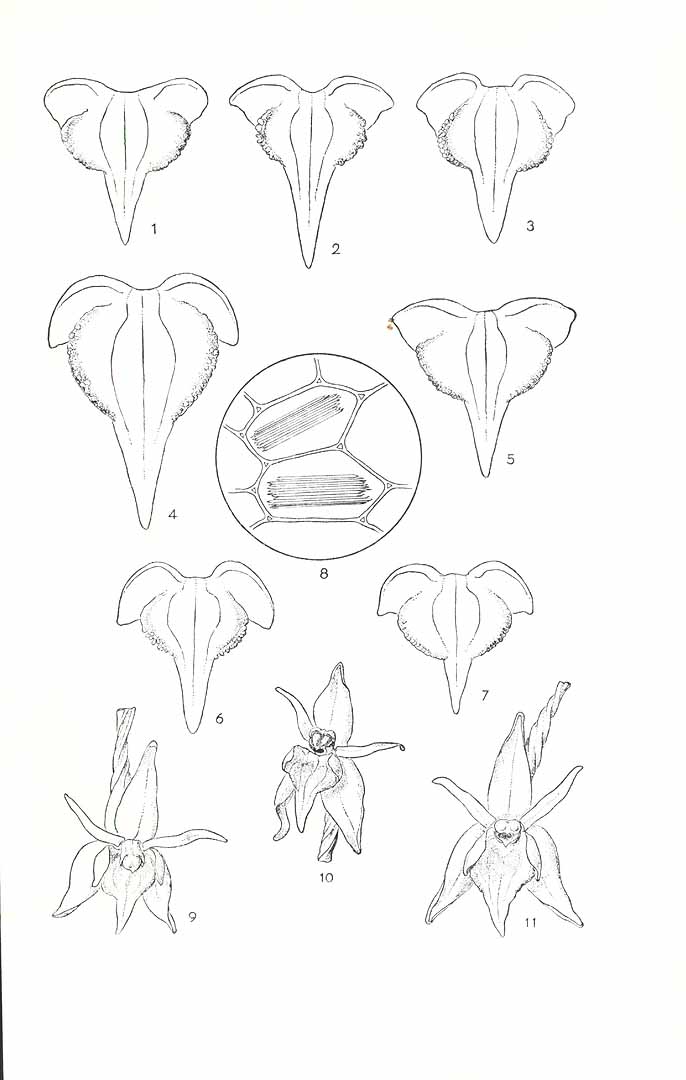 no HD illustration available (3)