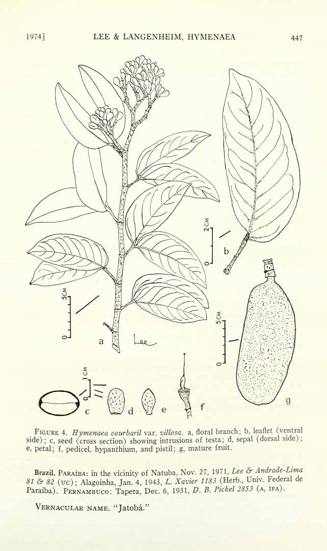 no HD illustration available (3)