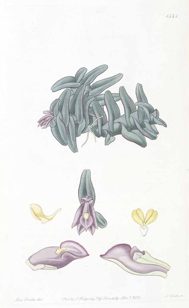 no HD illustration available (3)