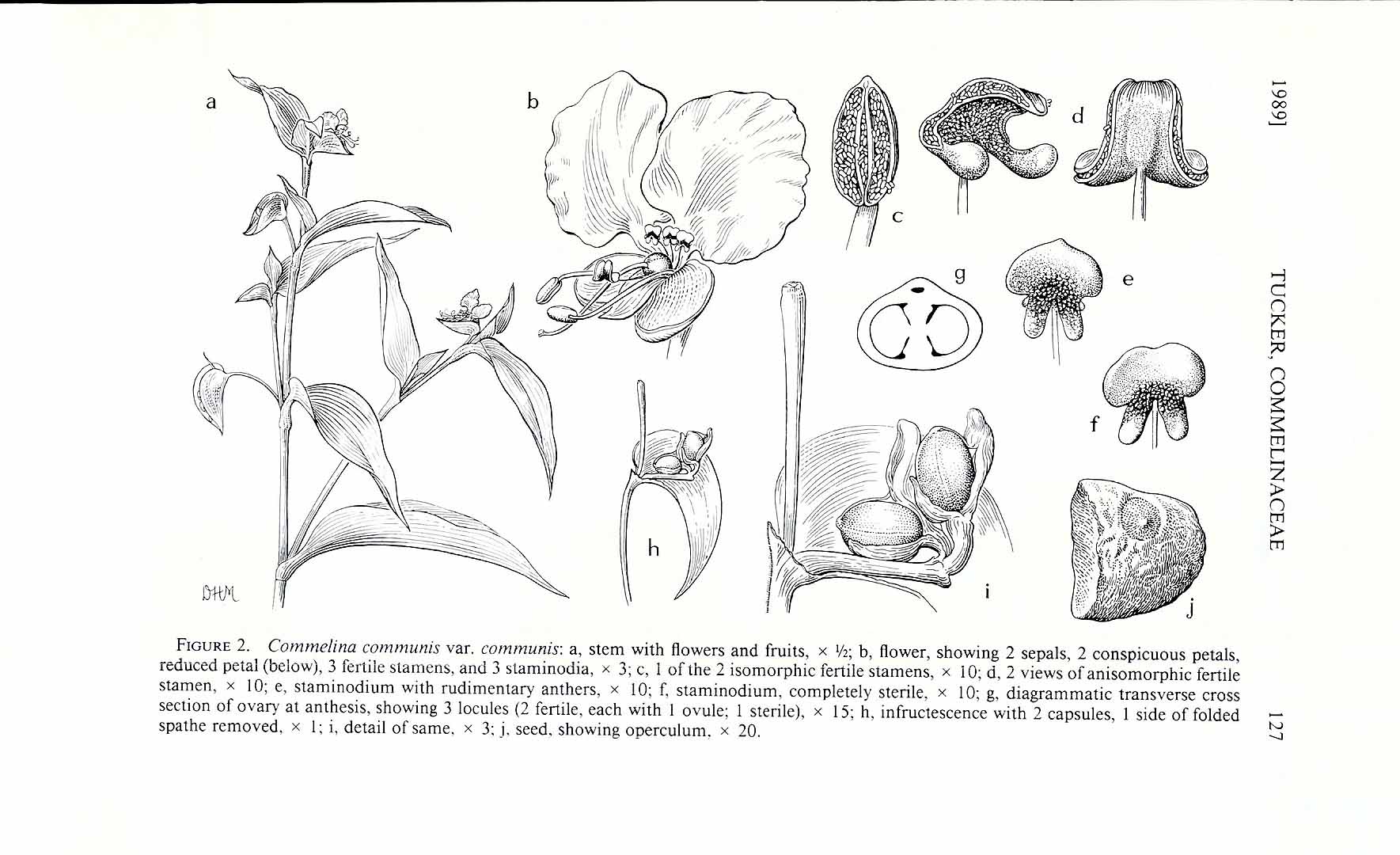 no HD illustration available (3)