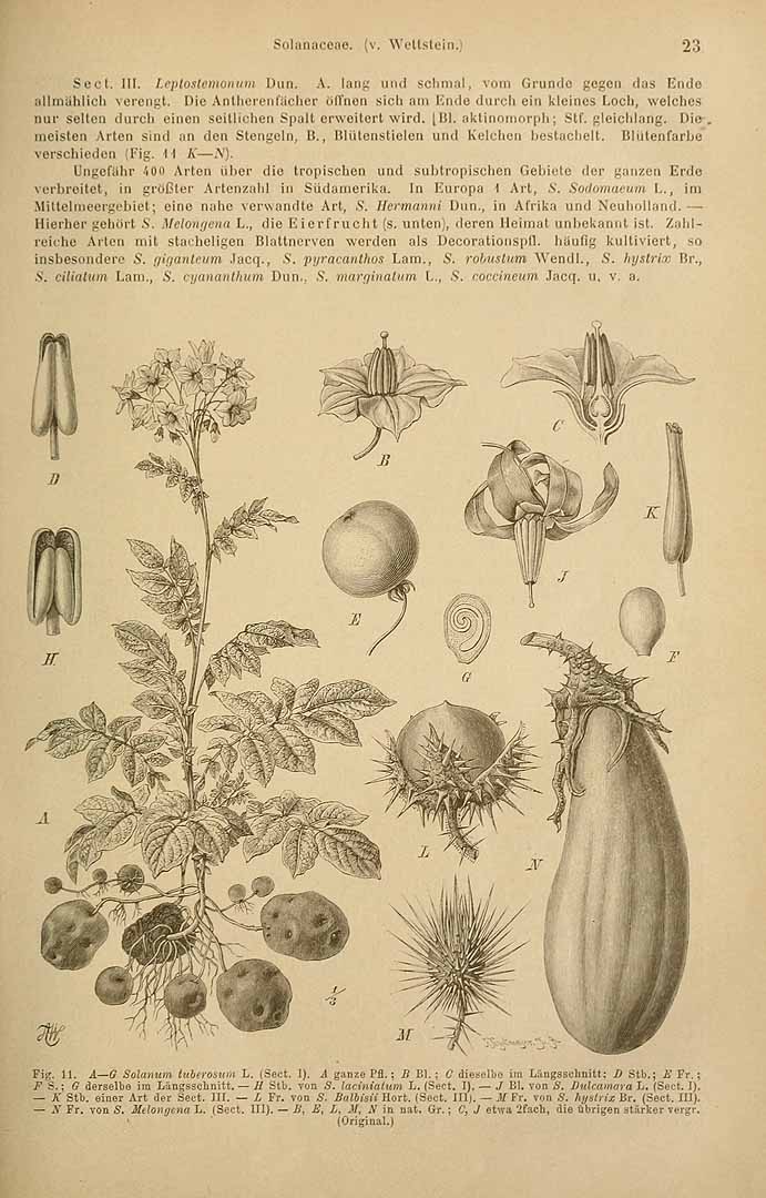 no HD illustration available (3)