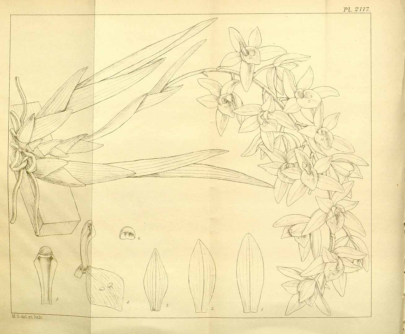 no HD illustration available (3)