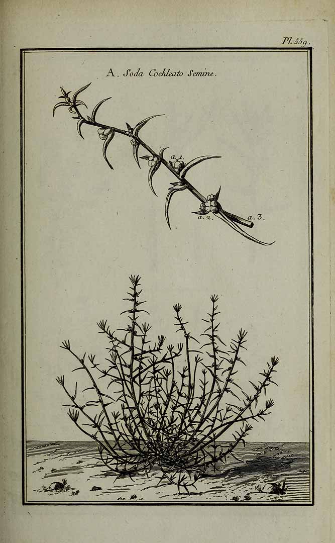 no HD illustration available (3)