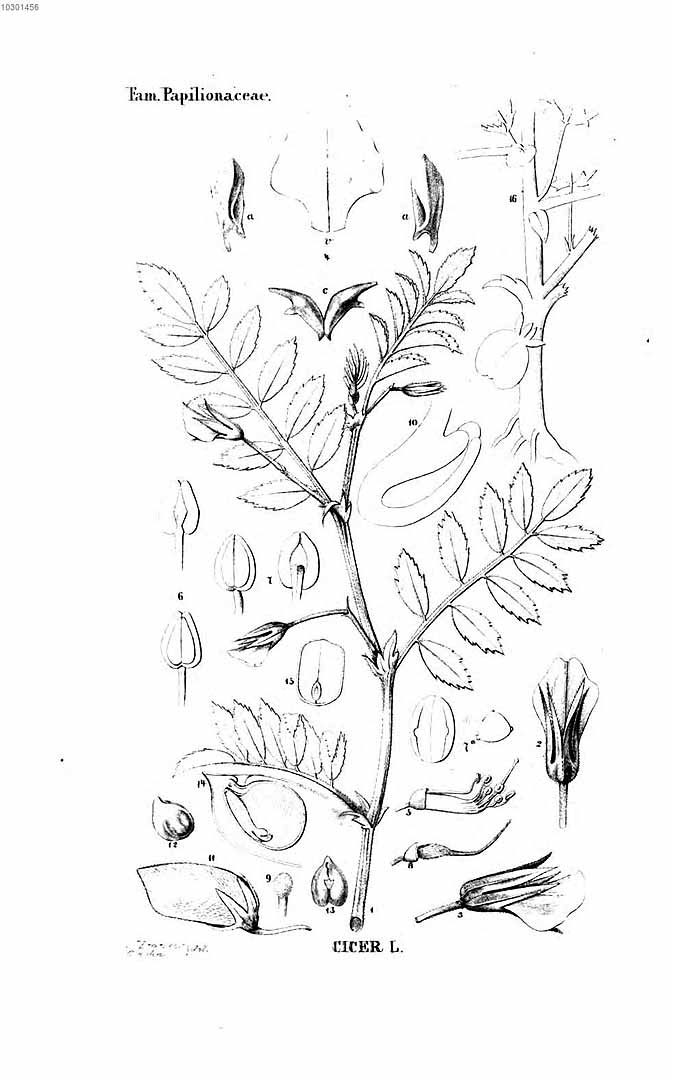 no HD illustration available (3)