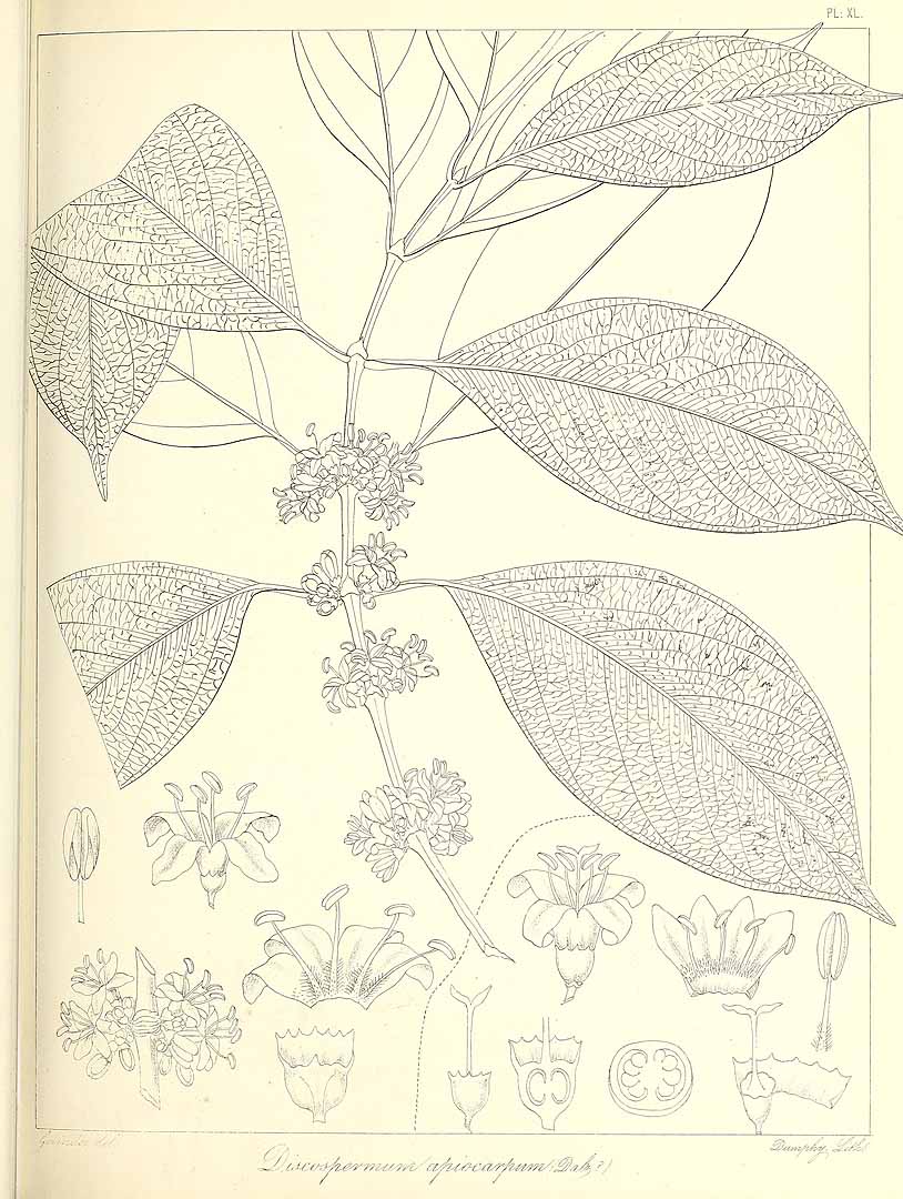 no HD illustration available (3)