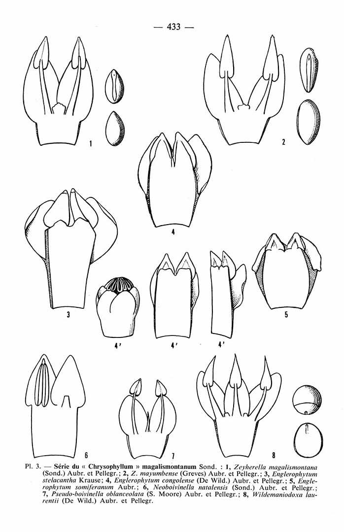 no HD illustration available (3)