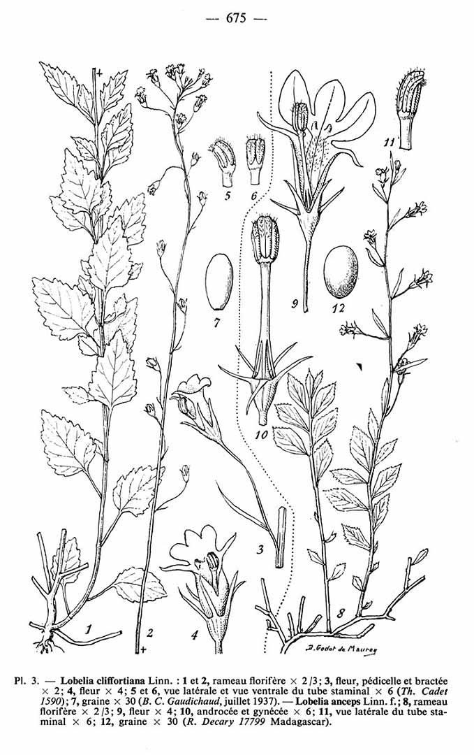 no HD illustration available (3)