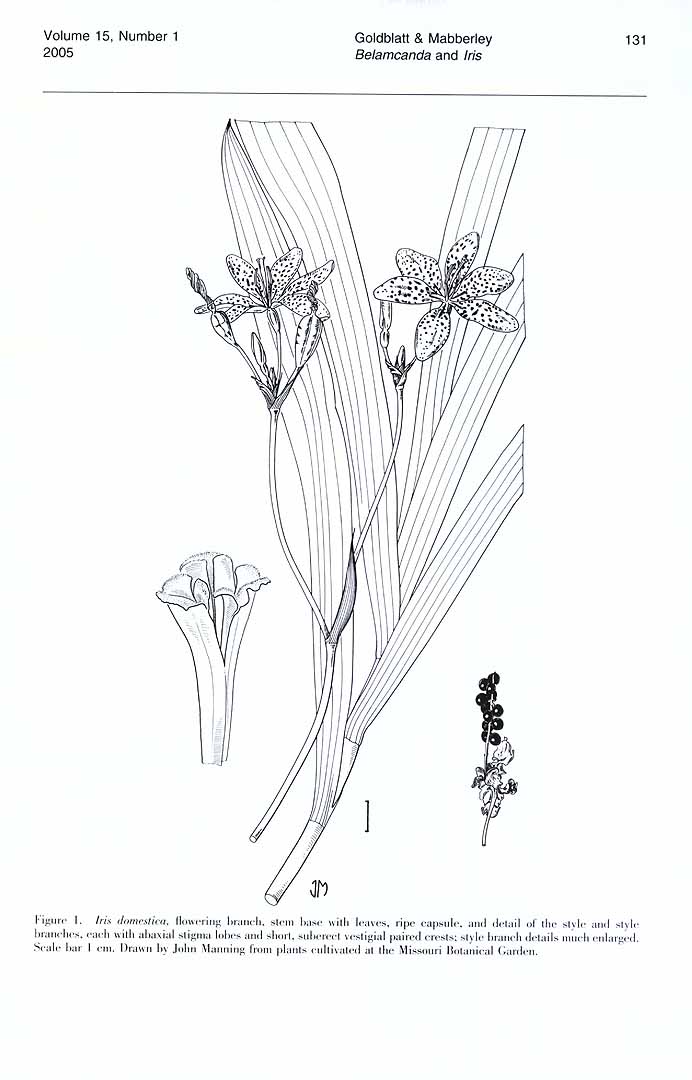 no HD illustration available (3)