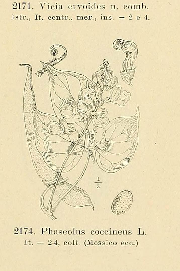 no HD illustration available (3)