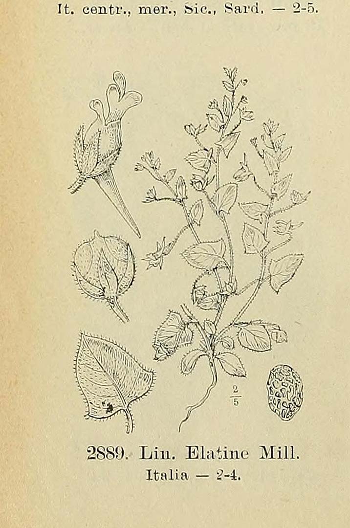no HD illustration available (3)