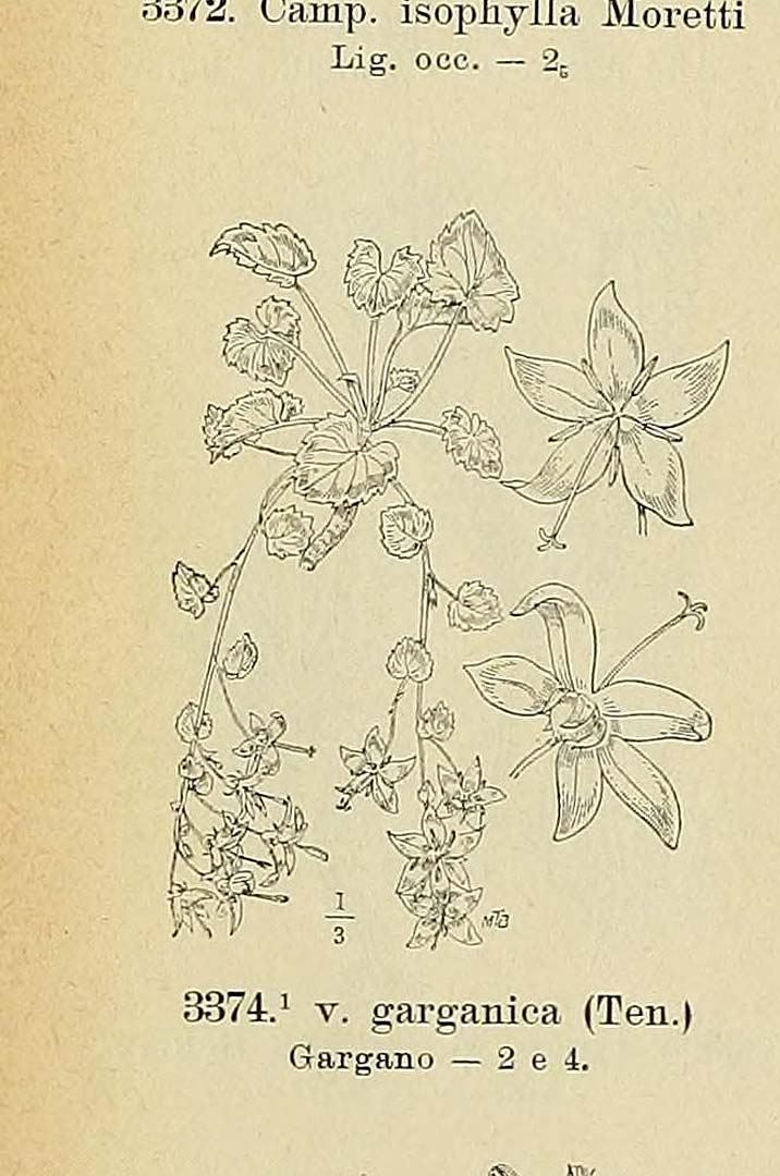no HD illustration available (3)