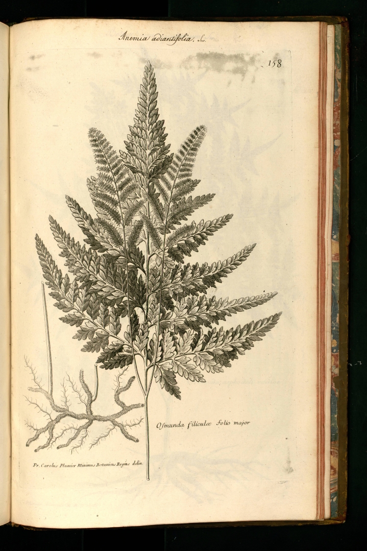 no HD illustration available (3)