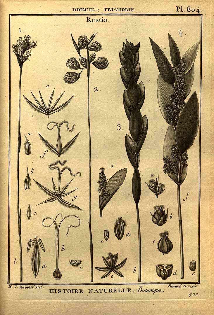 no HD illustration available (3)