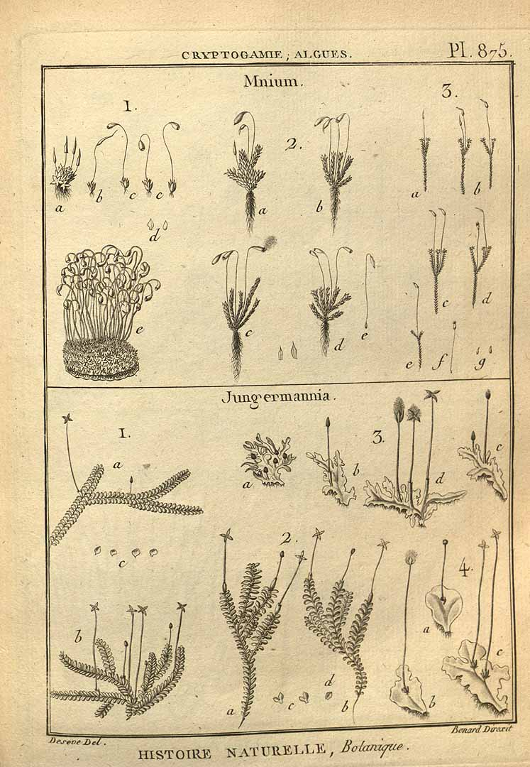 no HD illustration available (3)