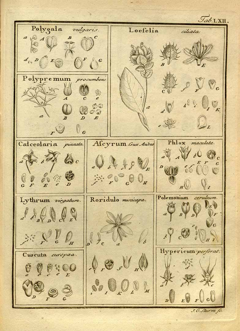 no HD illustration available (3)