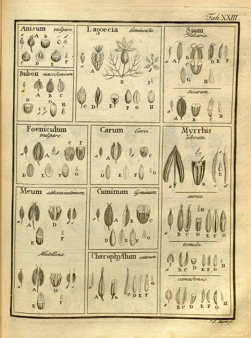 no HD illustration available (3)