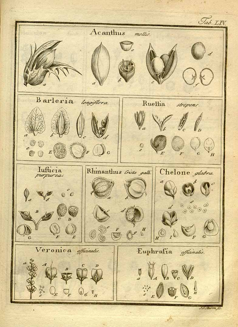 no HD illustration available (3)