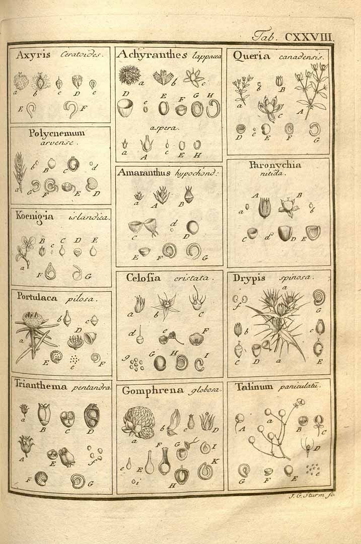 no HD illustration available (3)