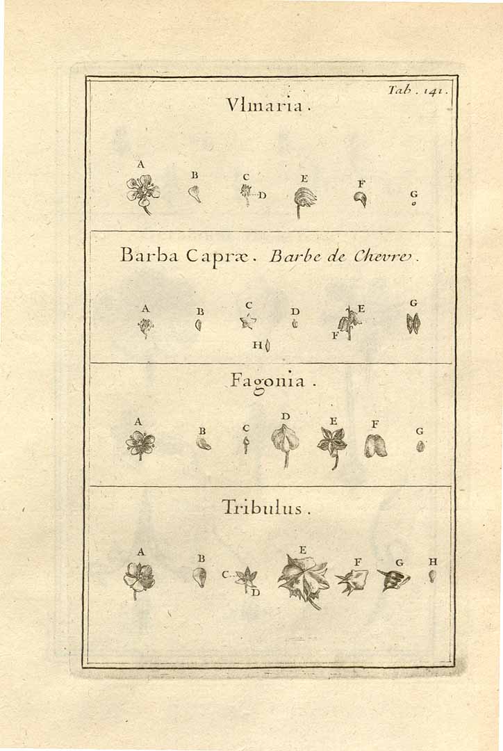 no HD illustration available (3)
