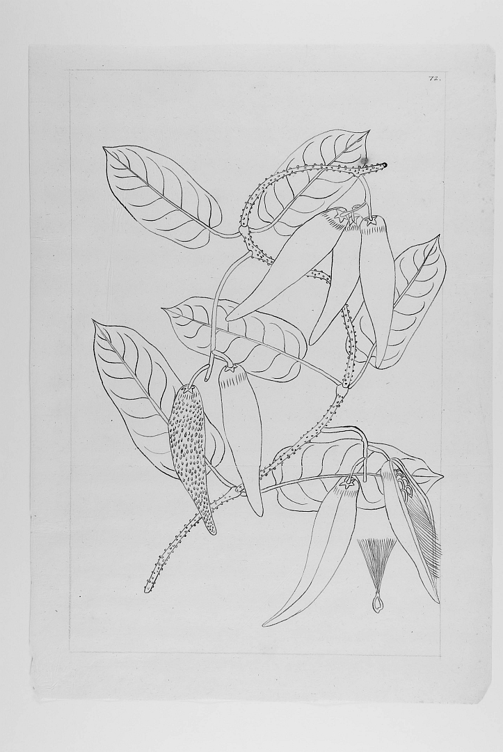 no HD illustration available (3)