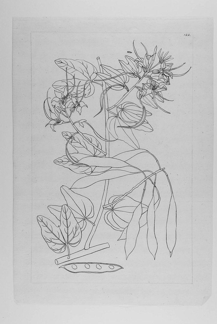 no HD illustration available (3)