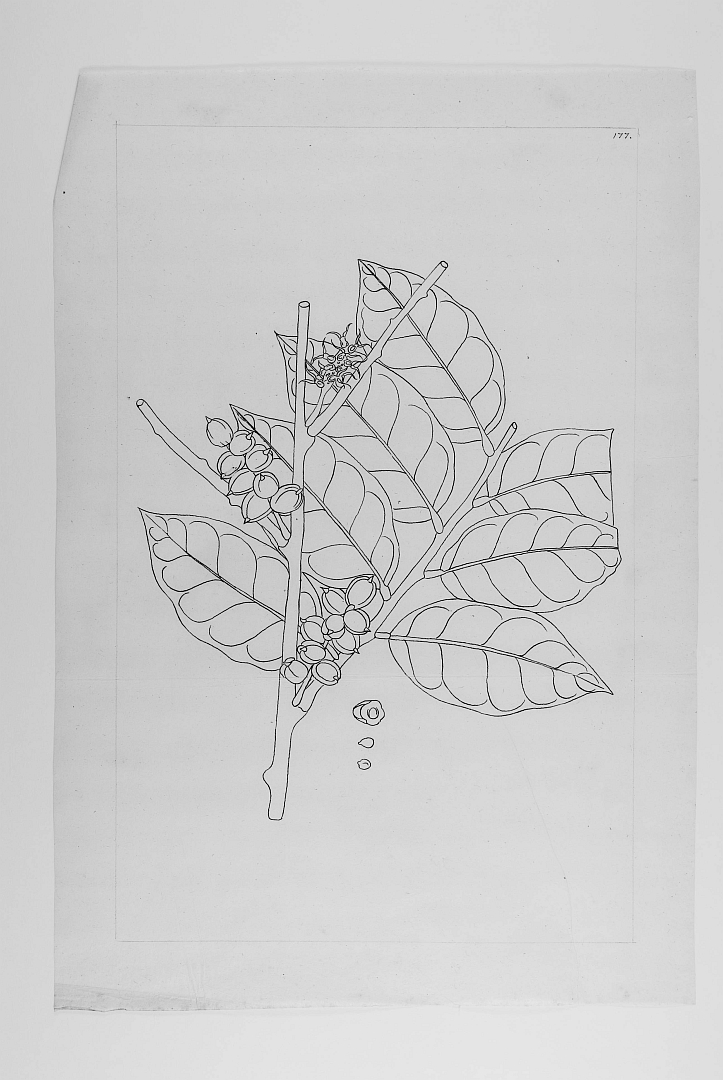 no HD illustration available (3)