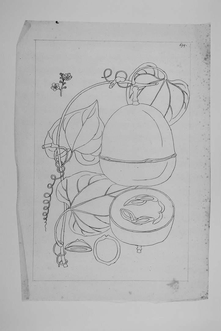 no HD illustration available (3)