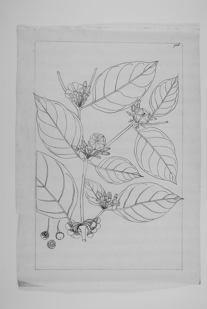 no HD illustration available (3)
