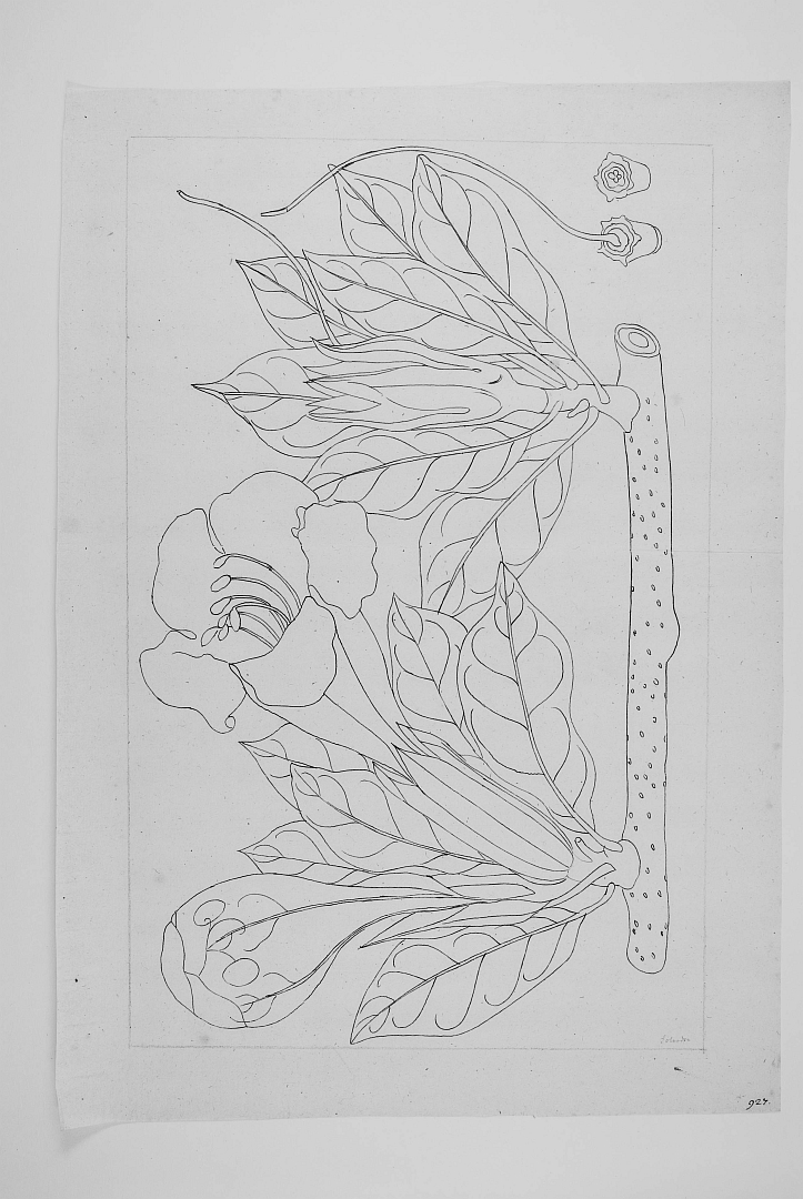 no HD illustration available (3)