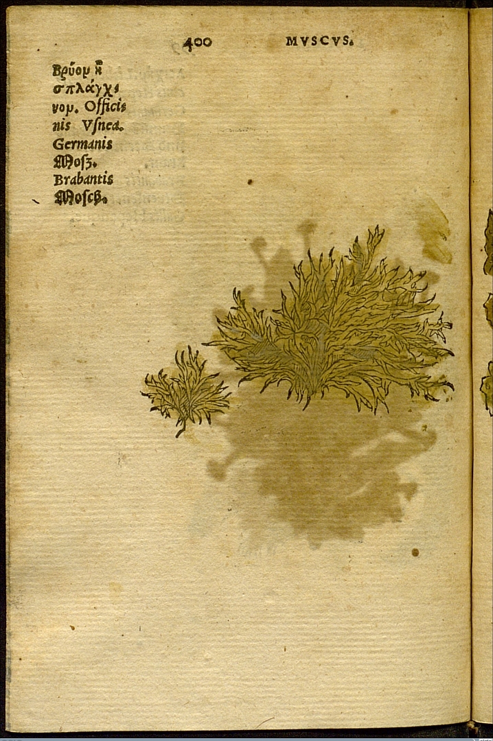 no HD illustration available (3)