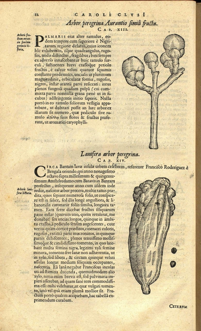 no HD illustration available (3)