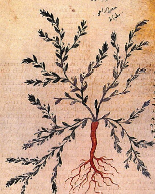 no HD illustration available (3)