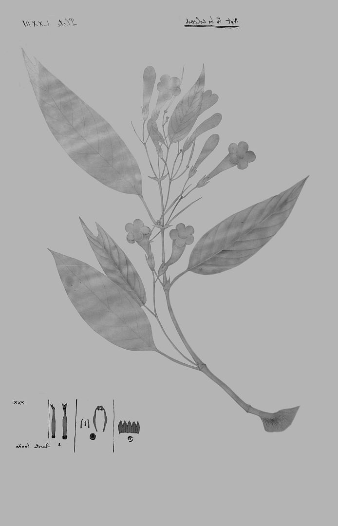 no HD illustration available (3)