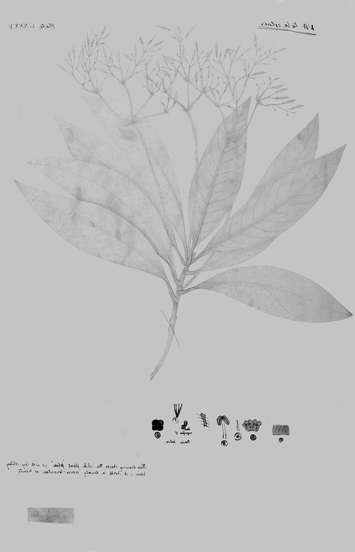no HD illustration available (3)
