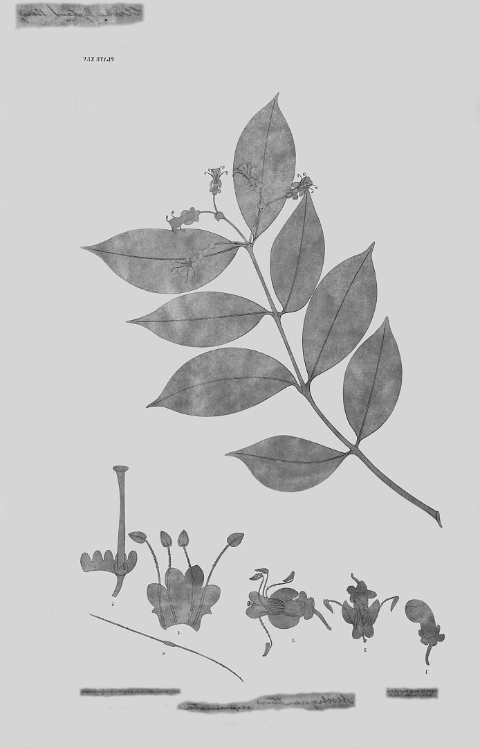 no HD illustration available (3)